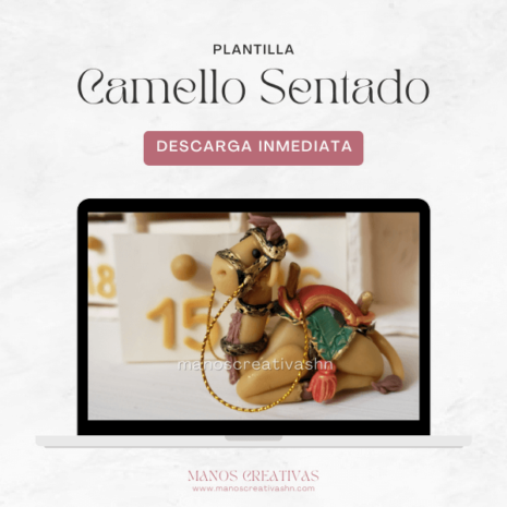 Product Image - Camello Sentado